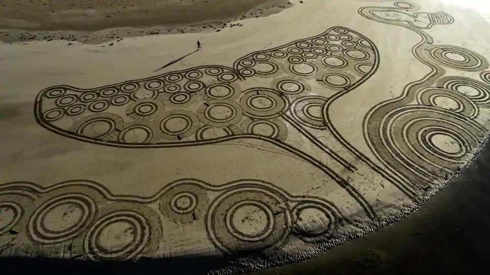 Shortly after restriction were relaxed in Australia, sand artist Edward was back at the beach making his colossal tributes to nature and wildlife. Giant whale tails are a recurring motif in his work.